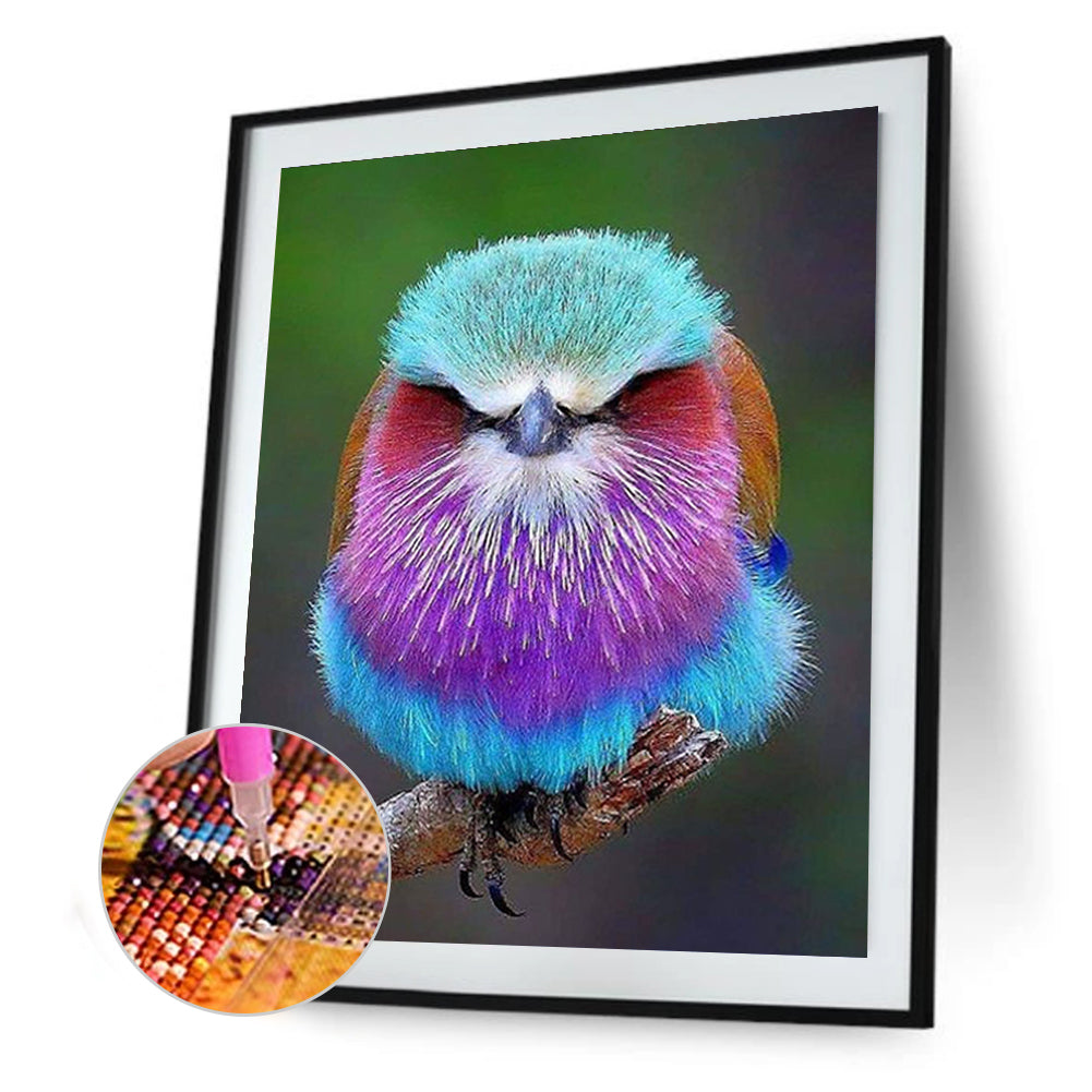 Purple-Breasted Buddhist Monk - Full Round Drill Diamond Painting 30*40CM