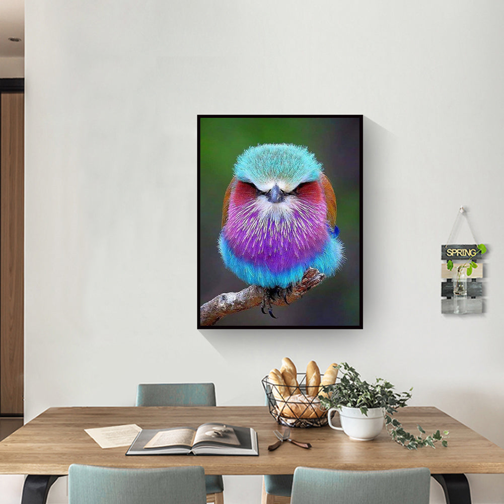 Purple-Breasted Buddhist Monk - Full Round Drill Diamond Painting 30*40CM