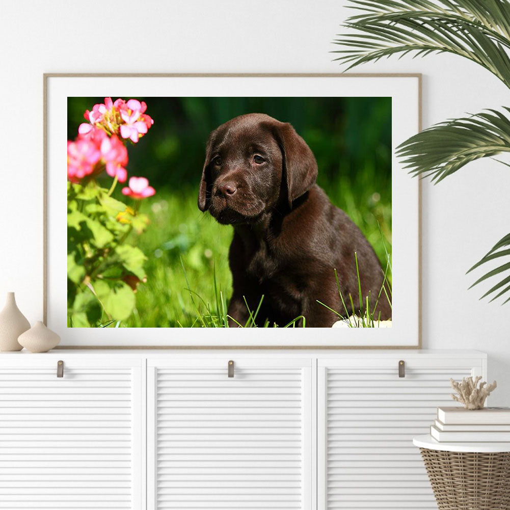 Labrador - Full Round Drill Diamond Painting 40*30CM