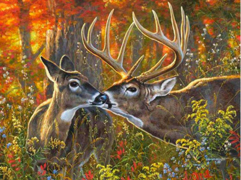 Elk - Full Round Drill Diamond Painting 50*40CM