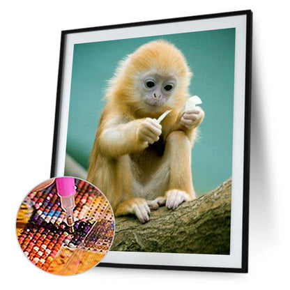 Golden Monkey - Full Round Drill Diamond Painting 50*60CM