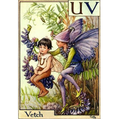 Vetch Fairy - Full Round Drill Diamond Painting 40*50CM