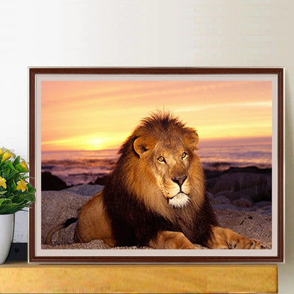 Lion - Full Round Drill Diamond Painting 40*30CM