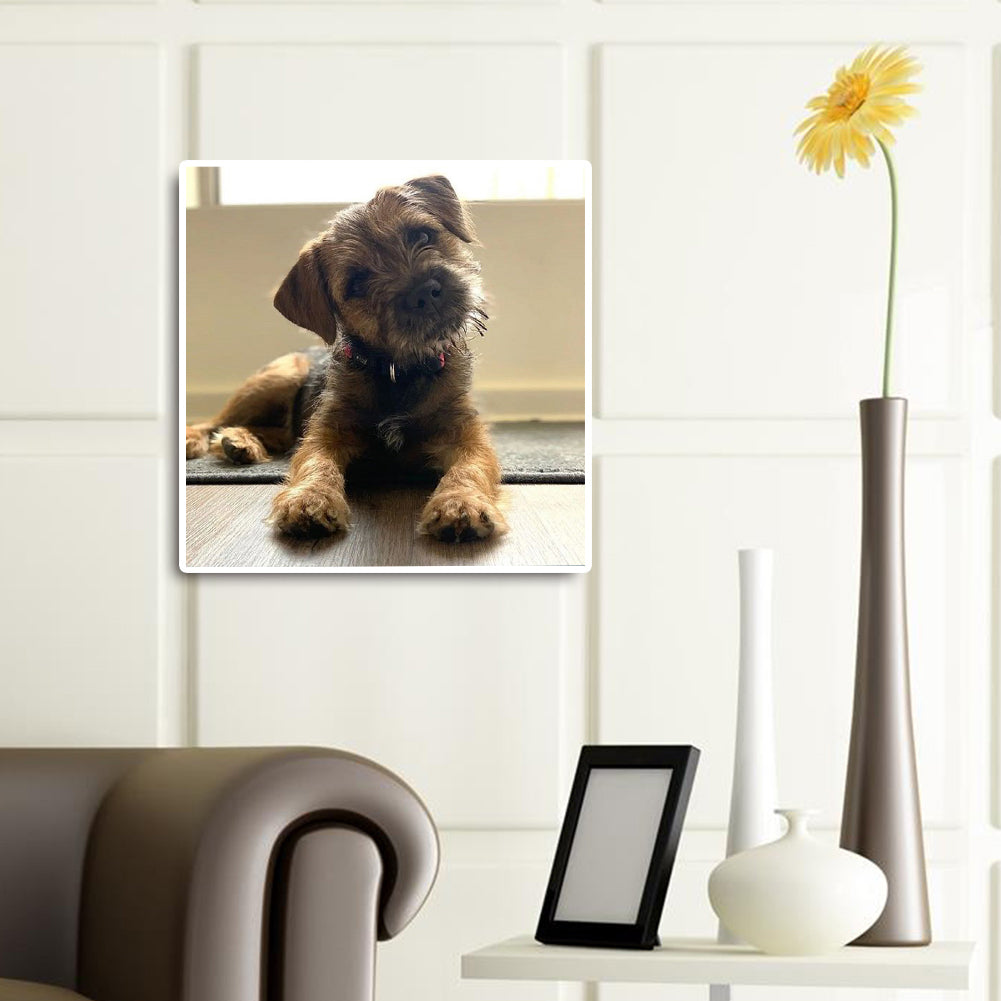 Puppy - Full Round Drill Diamond Painting 30*30CM