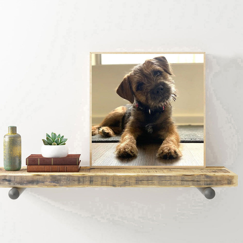 Puppy - Full Round Drill Diamond Painting 30*30CM