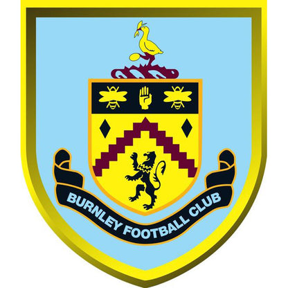 Burnley Football Club 40*50CM(Canvas) Full Square Drill Diamond Painting