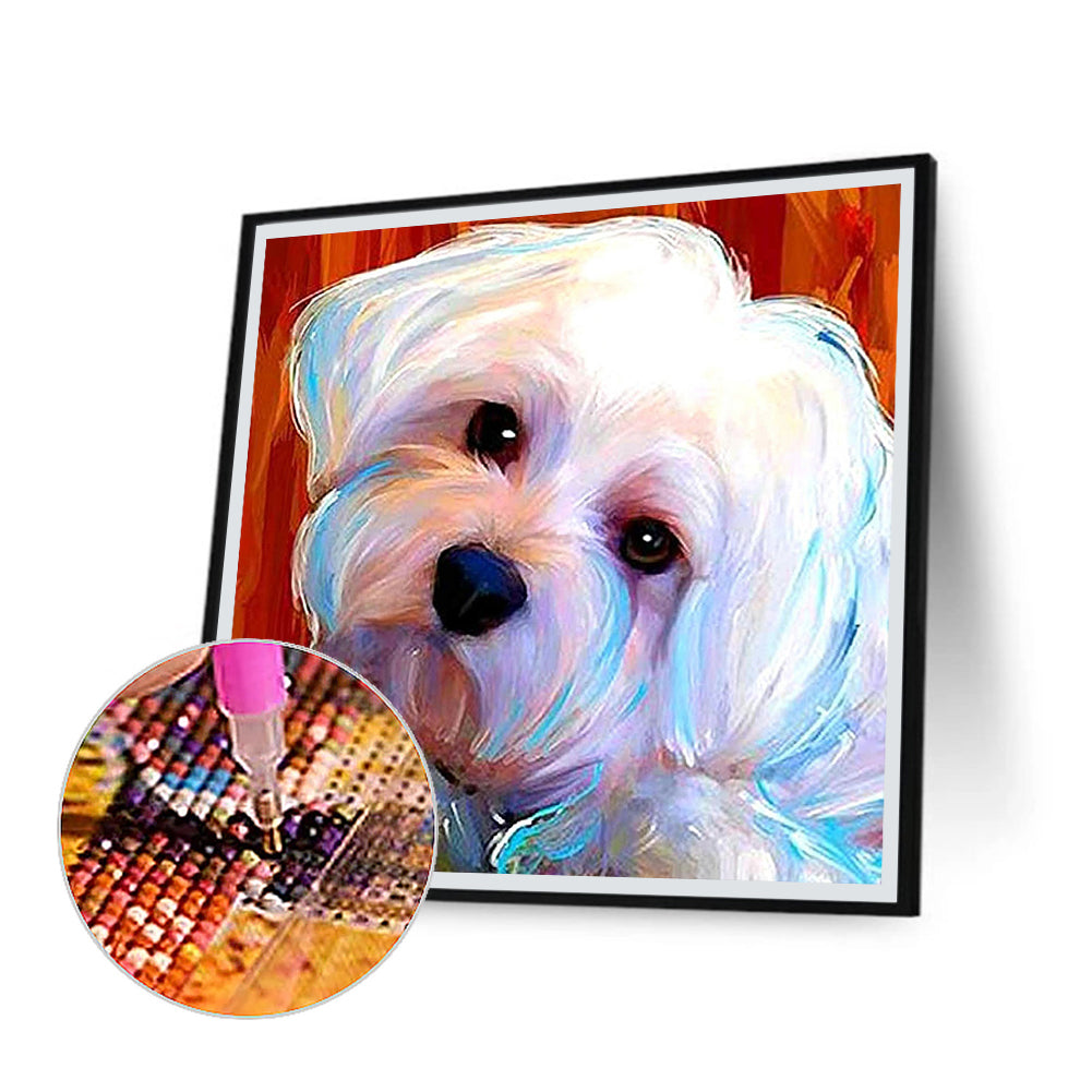 Bichon Puppy - Full Square Drill Diamond Painting 30*30CM