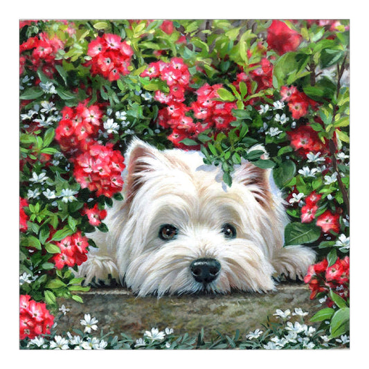 West Highland White Terrier - Full Round Drill Diamond Painting 40*40CM