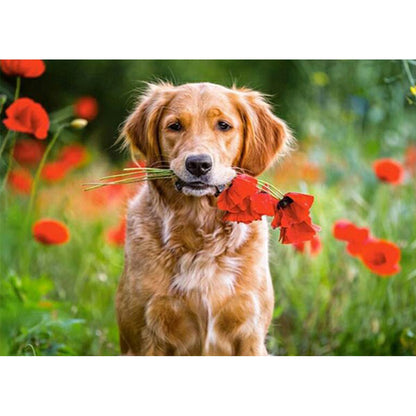 Golden Retriever - Full Round Drill Diamond Painting 50*40CM