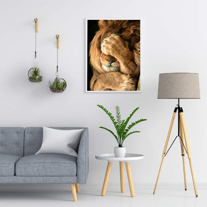 North African Lion - Full Round Drill Diamond Painting 40*50CM