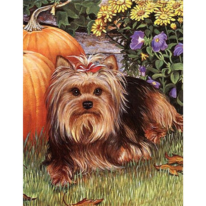 Yorkshire Terrier - Full Round Drill Diamond Painting 30*40CM
