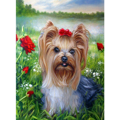 Yorkshire Terrier - Full Round Drill Diamond Painting 30*40CM
