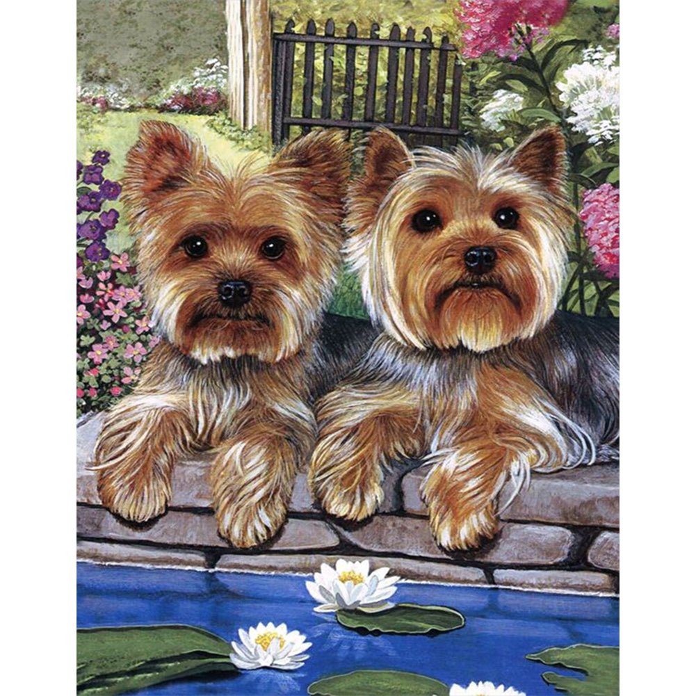 Yorkshire Terrier - Full Round Drill Diamond Painting 30*40CM