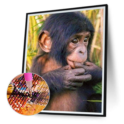 Orangutan - Full Round Drill Diamond Painting 40*50CM