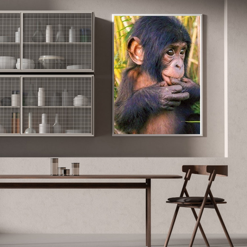 Orangutan - Full Round Drill Diamond Painting 40*50CM