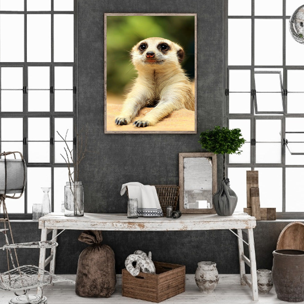 Meerkat - Full Round Drill Diamond Painting 30*40CM