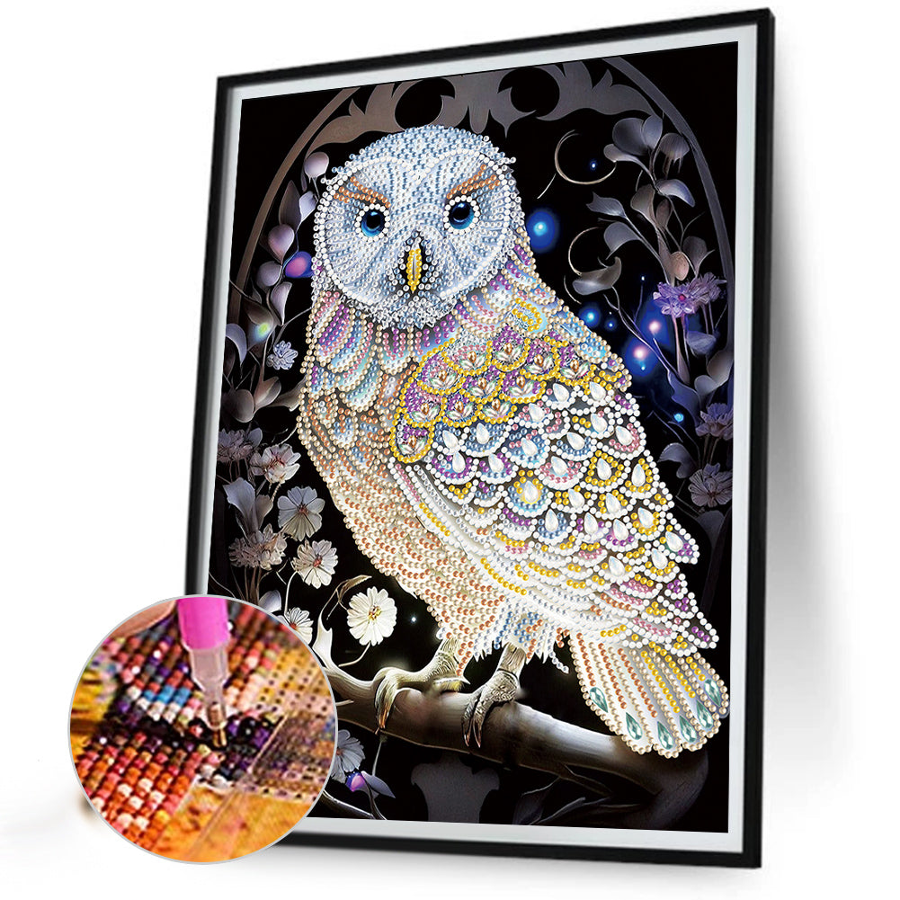 Owl - Special Shaped Drill Diamond Painting 30*40CM