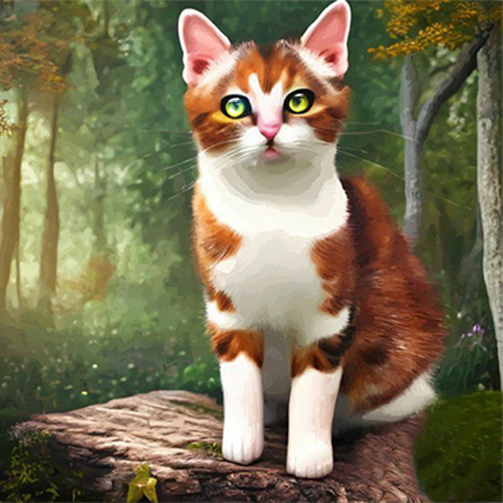 Kitten - Full Round Drill Diamond Painting 35*35CM