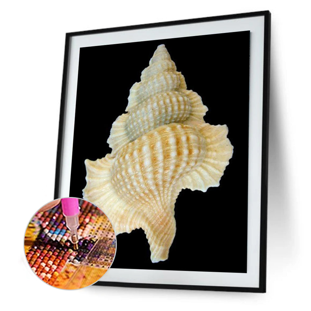 Beach Shells - Full Round Drill Diamond Painting 30*40CM
