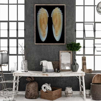 Beach Shells - Full Round Drill Diamond Painting 30*40CM