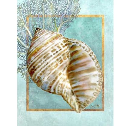 Turban Shells And Coral - Full Round Drill Diamond Painting 30*40CM