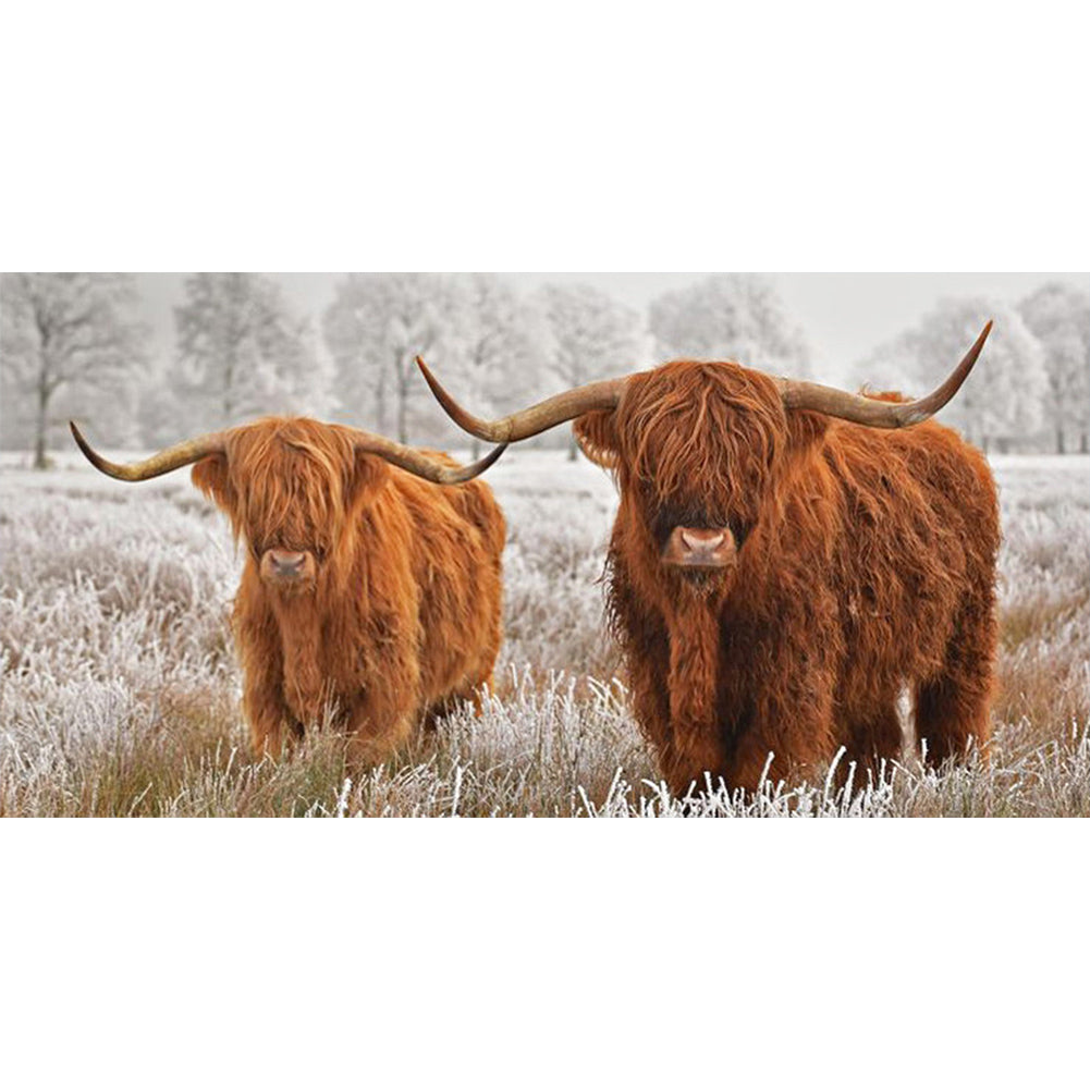 Highland Yak - Full Square Drill Diamond Painting 80*40CM