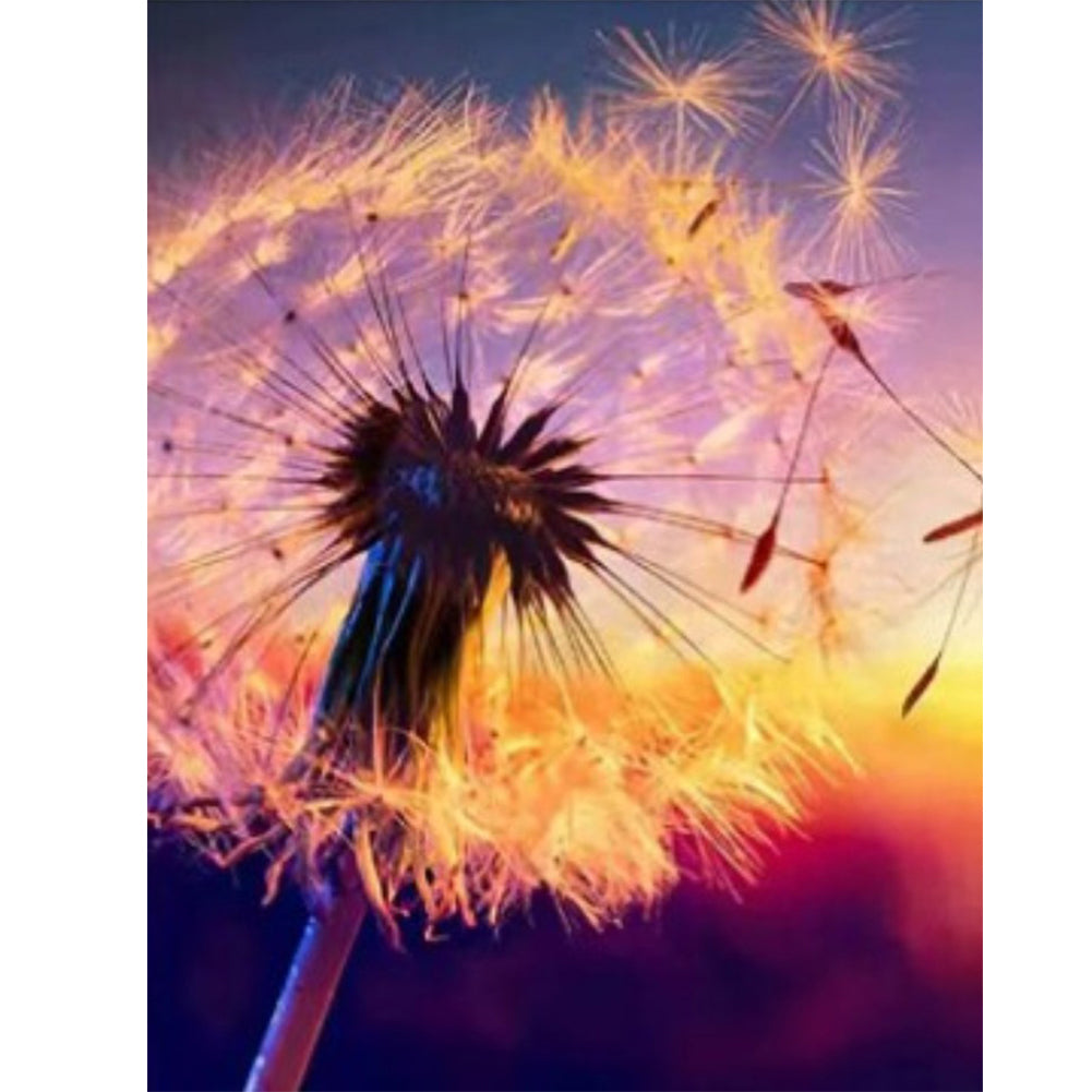 Sunset With Dandelions-O630*40cm(canvas) full-round drill diamond painting
