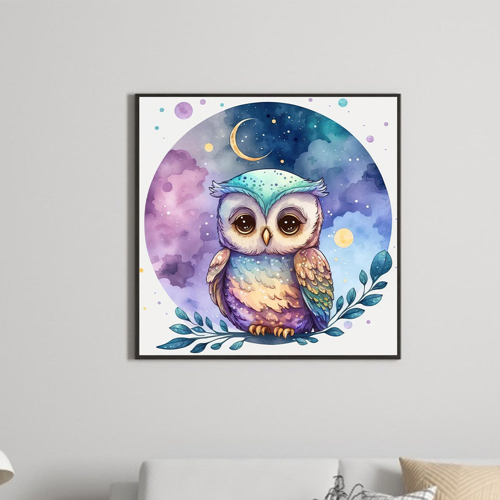 Owl 30*30Ccm(canvas) full round drill diamond painting
