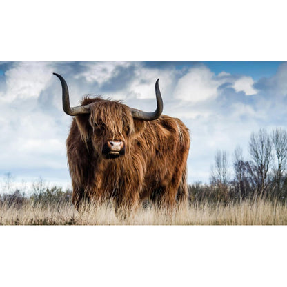 Highland Yak - Full Round Drill Diamond Painting 70*40CM