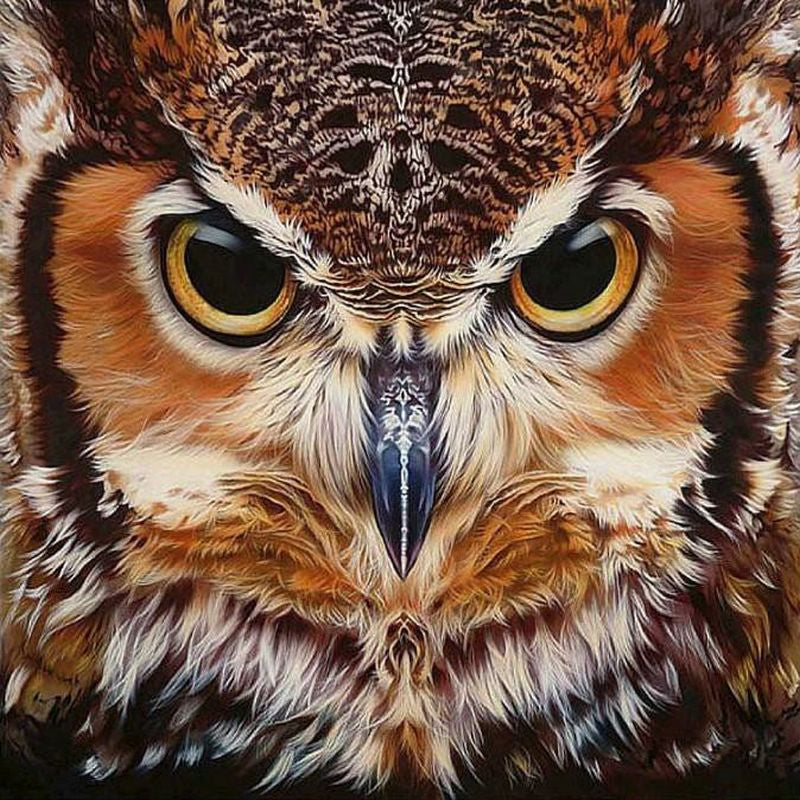 Owl - Full Round Drill Diamond Painting 50*50CM
