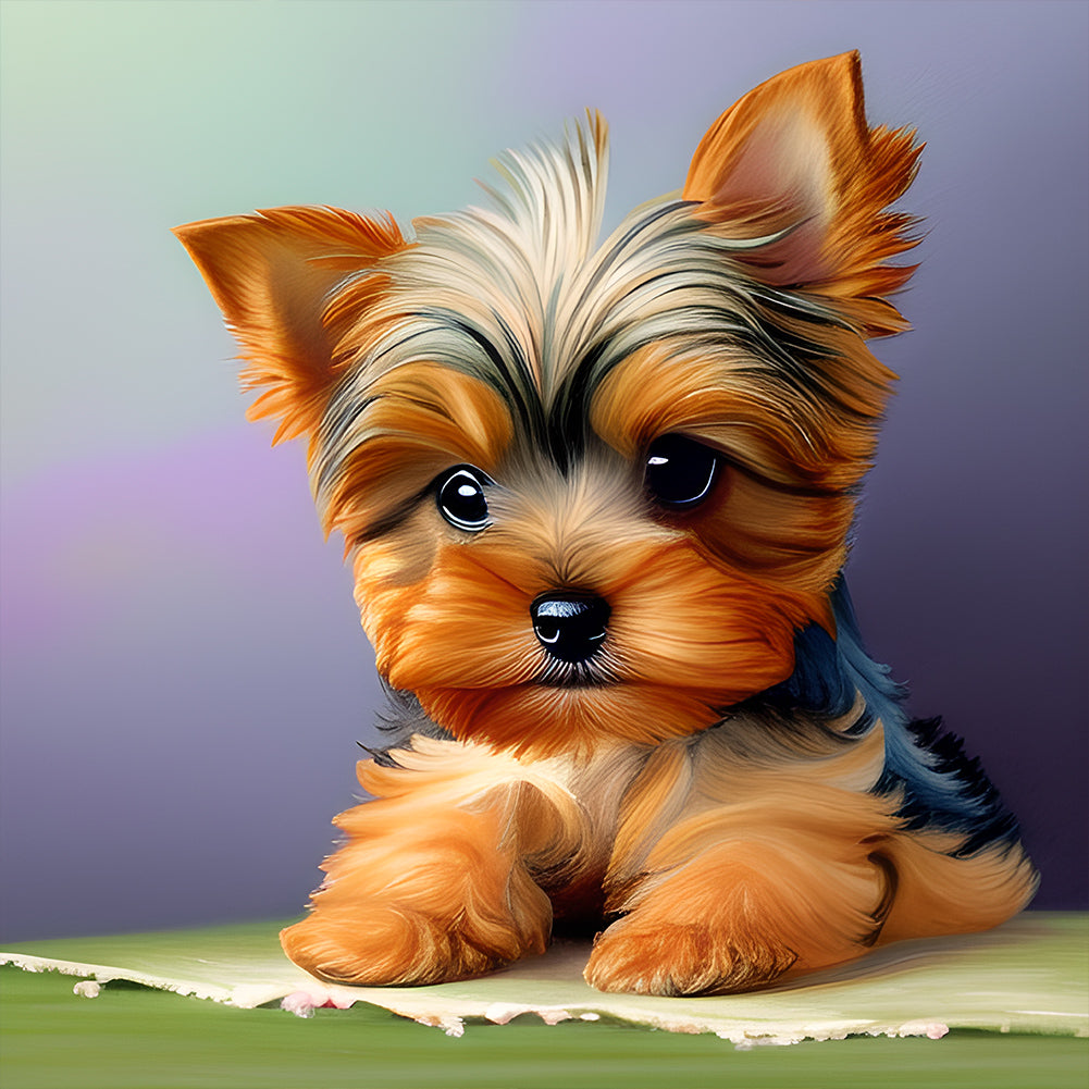 Yorkshire Terrier - Full Round Drill Diamond Painting 30*30CM