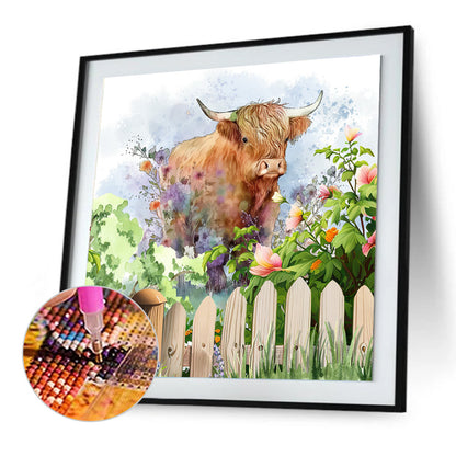 Highland Cattle - Full Round Drill Diamond Painting 30*30CM