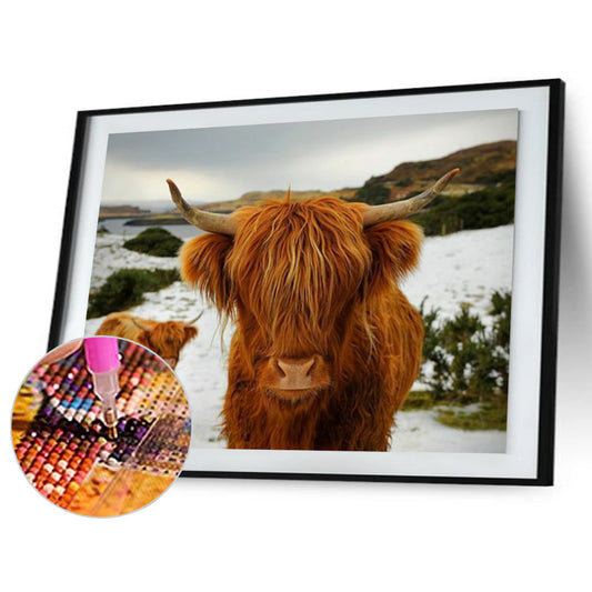 Highland Yak - Full Round Drill Diamond Painting 40*30CM