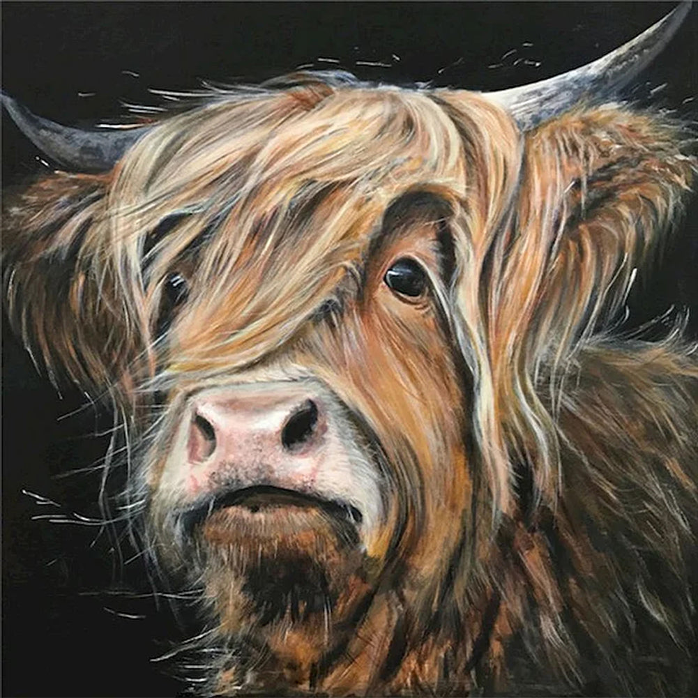 Highland Yak - Full Round Drill Diamond Painting 45*45CM