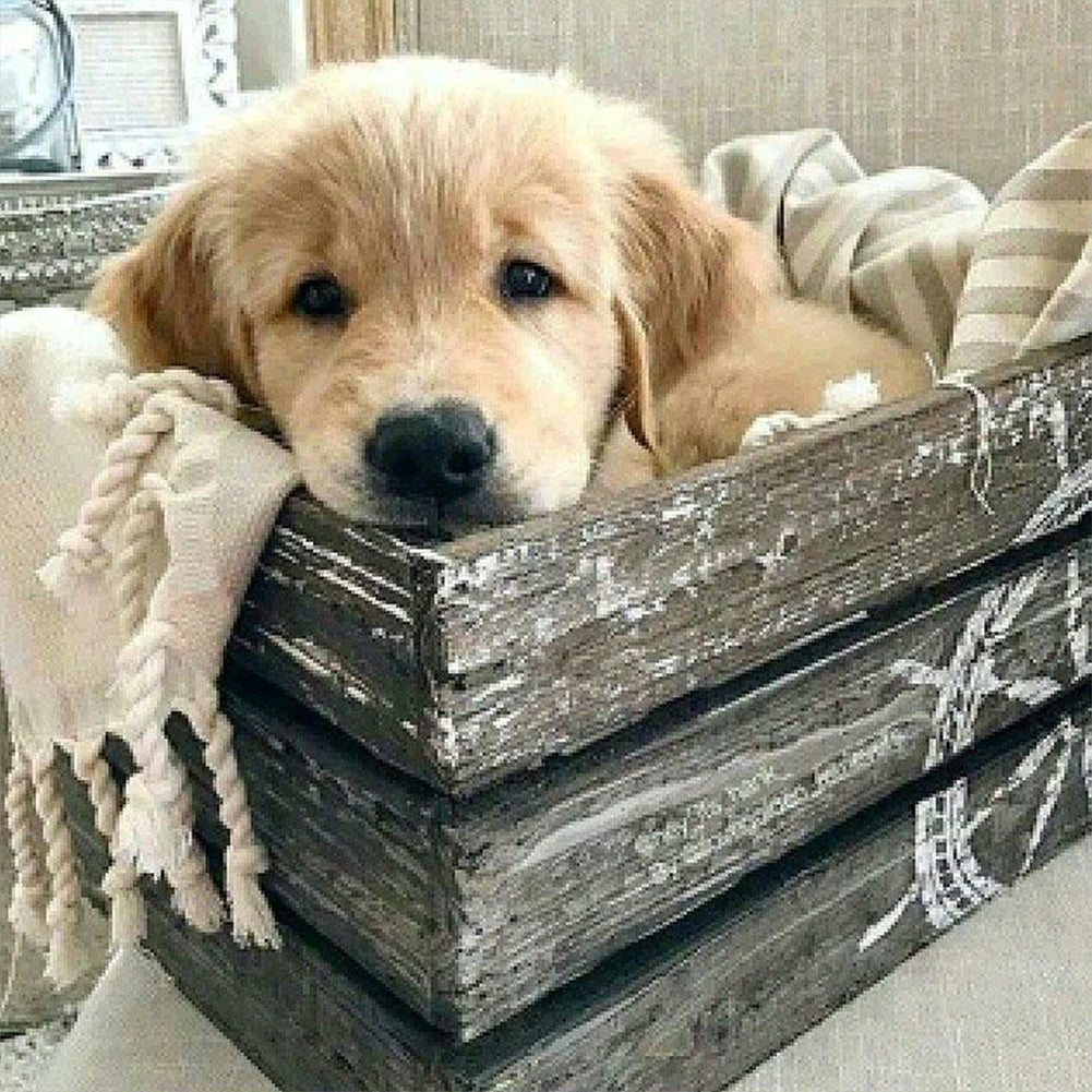 Wooden Frame Puppy - Full Round Drill Diamond Painting 50*50CM