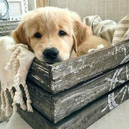 Wooden Frame Puppy - Full Round Drill Diamond Painting 50*50CM