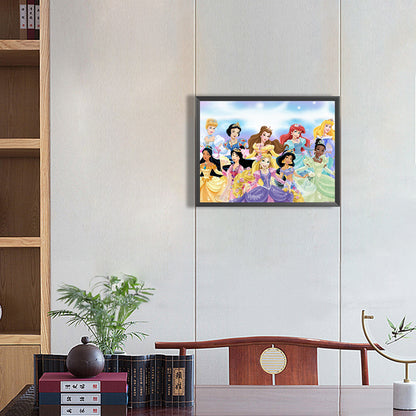 Princess Collection - Full Round Drill Diamond Painting 40*30CM