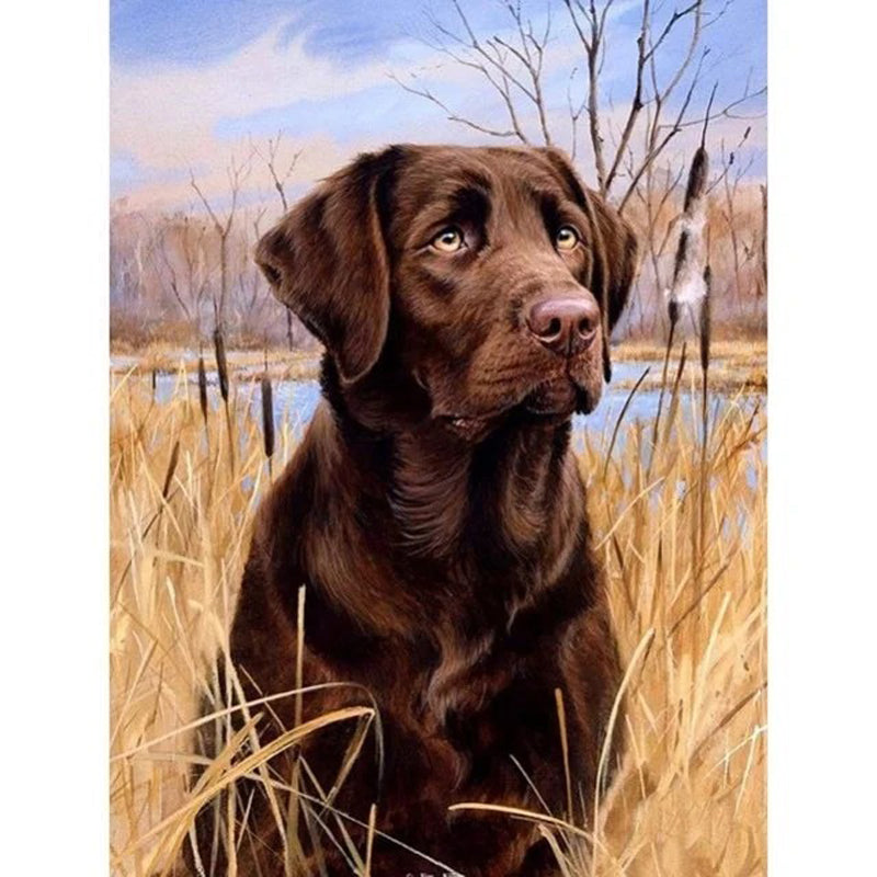 Lawn Puppy - Full Round Drill Diamond Painting 30*40CM