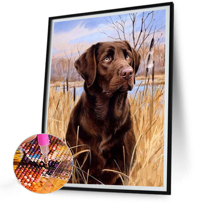 Lawn Puppy - Full Round Drill Diamond Painting 30*40CM