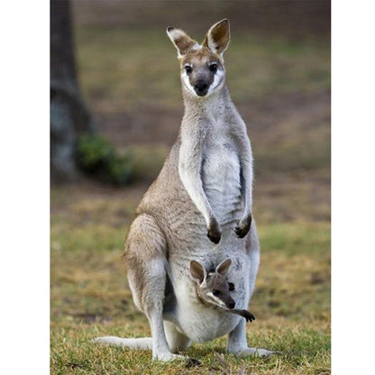 Parent-Child Kangaroo - Full Round Drill Diamond Painting 30*40CM