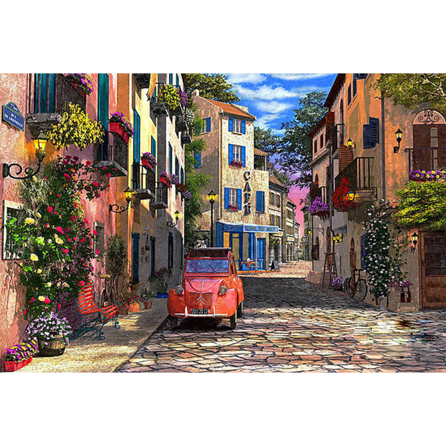House - Full Round Drill Diamond Painting 40*50CM
